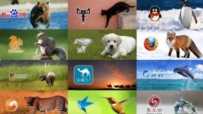 58速运为什么改为快狗,58速运和快狗打车