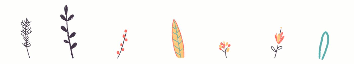 宁波北仑森林步道图片,北仑里外峰森林步道