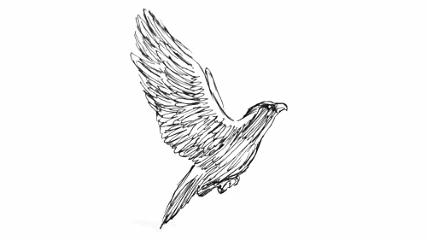 多肉老桩，美到爆炸，拥有一株做梦都会笑！