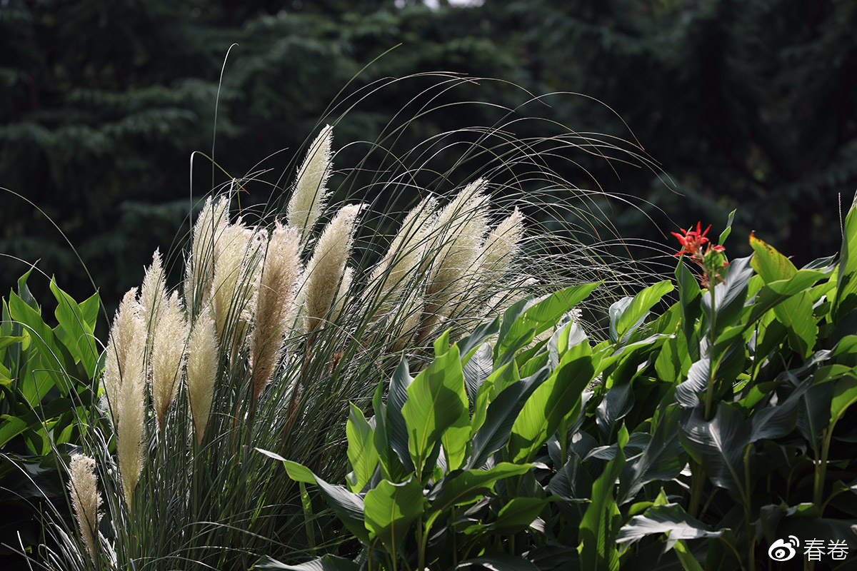 佳能人像风景原图直出参数,佳能复古风人像