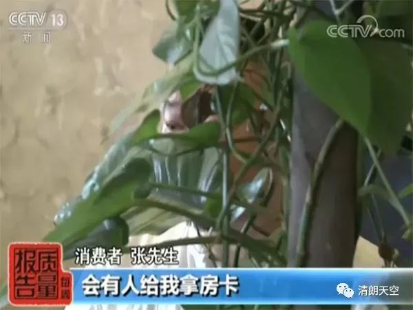 去哪儿网被曝光,去哪儿网回应被处罚