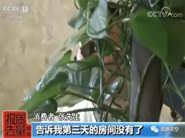 去哪儿网被曝光,去哪儿网回应被处罚