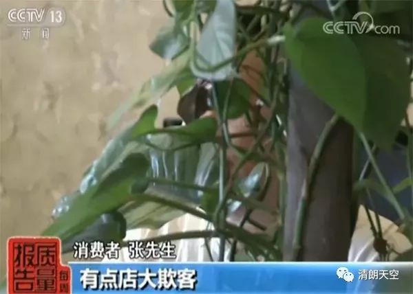 去哪儿网被曝光,去哪儿网回应被处罚