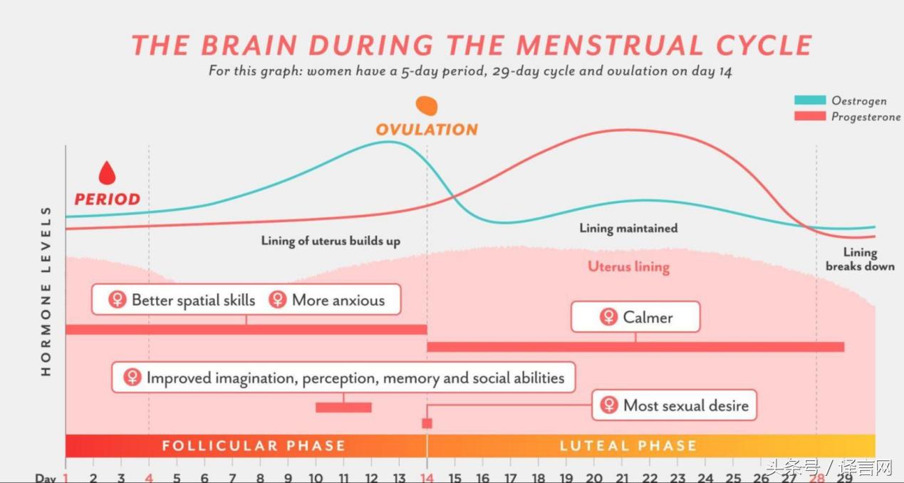 除了每月流血七天不死的人设“大姨妈”还有啥不为人知神技能？