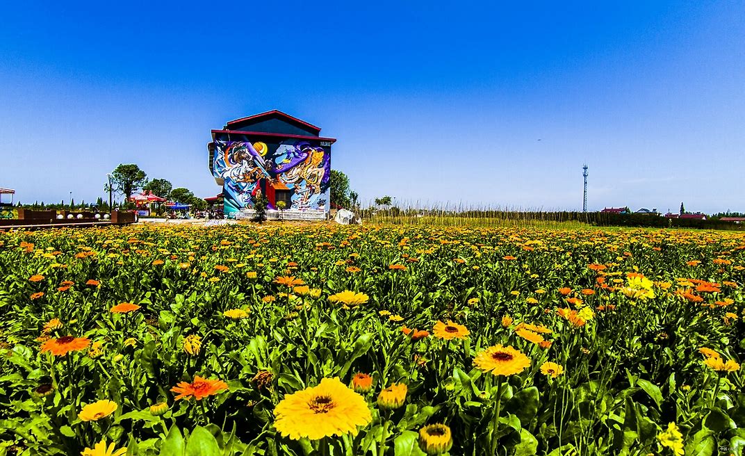 南县简介,益阳南县