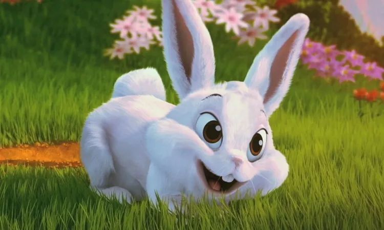 养兔要注意事项,种兔养殖注意事项