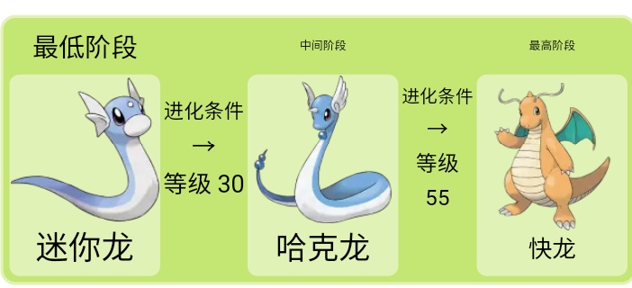 口袋妖怪x完整攻略,口袋妖怪解说视频攻略