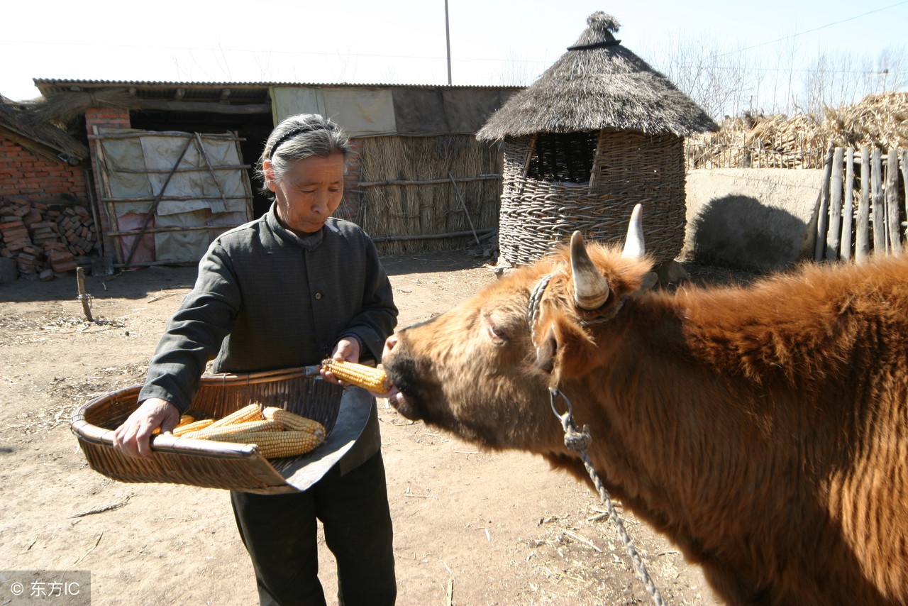 农村灶不好烧跟天气有关系吗,农村灶位的风水大忌
