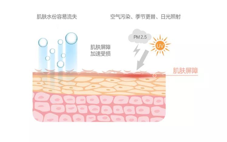 弘叔护肤推荐,弘叔推荐保养皮肤