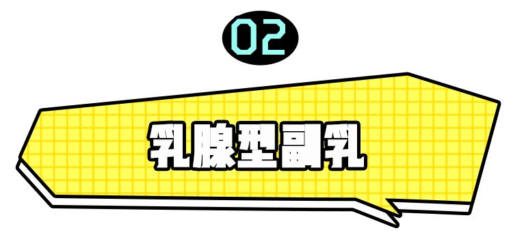奚梦瑶三围与肩宽,奚梦瑶腰间现赘肉