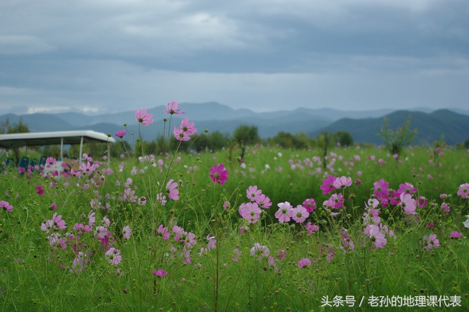 大理时光拍摄视频,大理环海西路风景