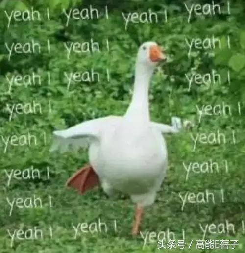 明日之子直播事件,明日之子现场直播