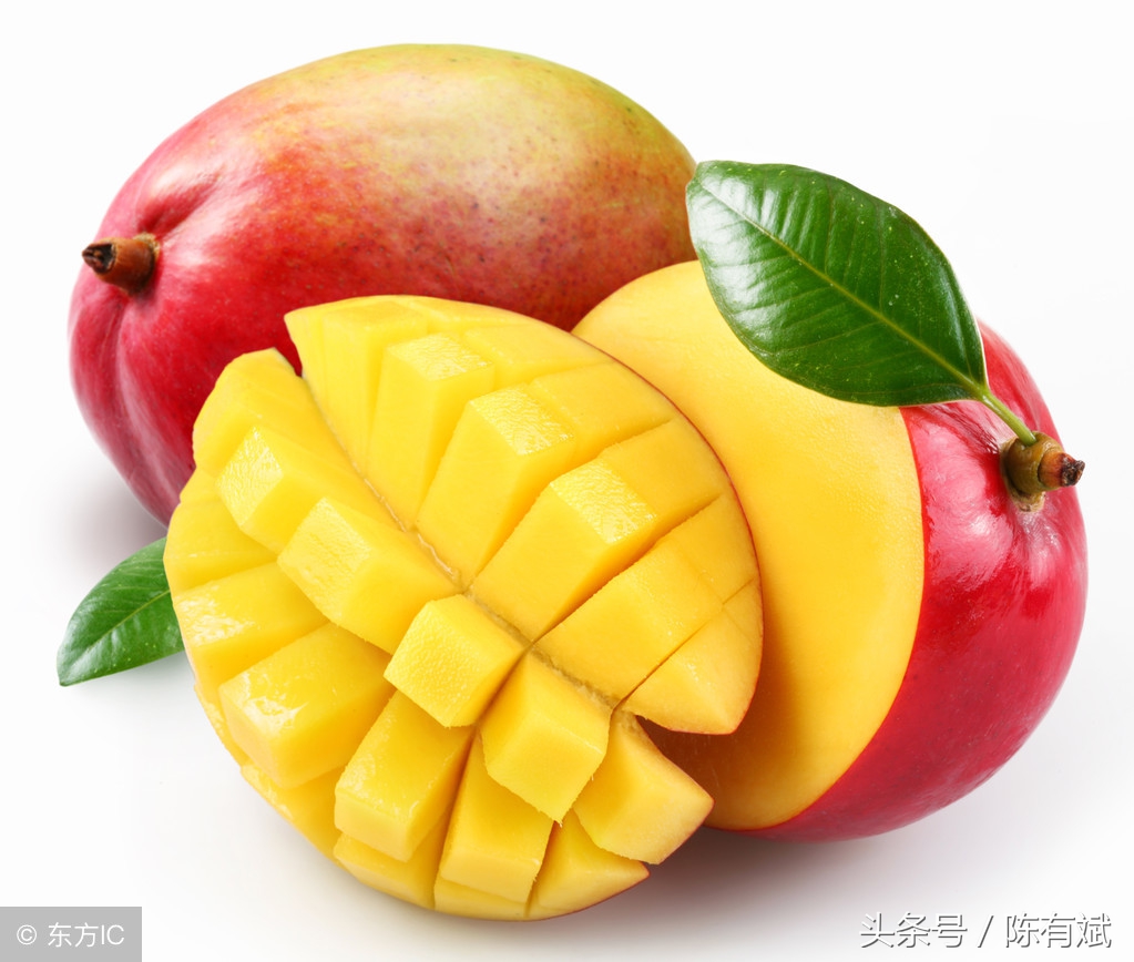 石榴芒果橘子葡萄,芒果石榴同种类的水果