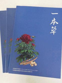 快投票！健康中国头条“最感人七夕情话”在线投票开始啦！