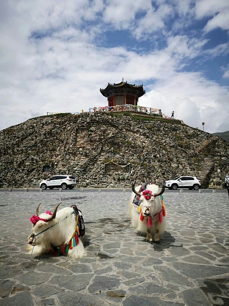 西安旅游攻略华山一日游,华山西安自助旅游攻略