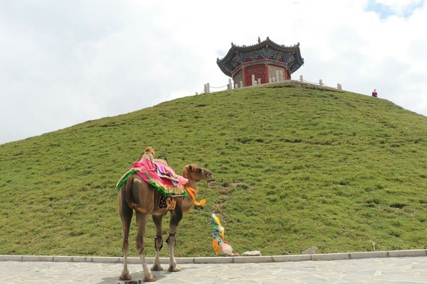 西安旅游攻略华山一日游,华山西安自助旅游攻略