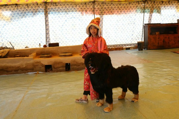 西安旅游攻略华山一日游,华山西安自助旅游攻略