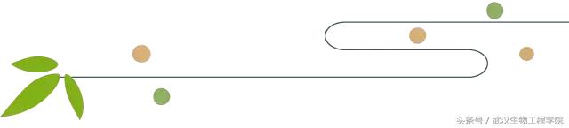 暑假实践|忆生院情,一起同行药学院在粤回访优秀校友