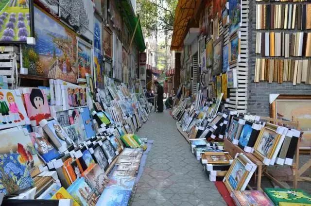 梵高100幅油画图片,摄影师镜头下花鸟