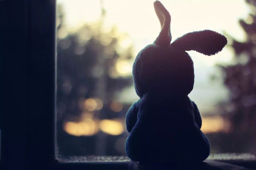 祝你身体健康美满幸福,祝你身体健康天天开心