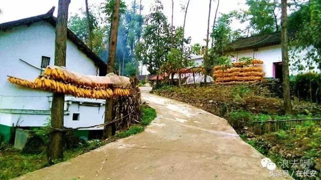 秦岭深处藏大瀑布,隐藏在太行深山里的神秘石头古寨