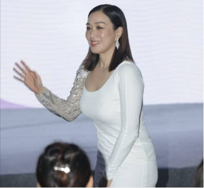 48岁钟丽缇试管婴儿,钟丽缇比张伦硕大12岁备孕第四胎