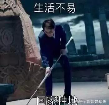 自从迷上*戏调**某宝客服后,我不会说话的毛病就被治好了