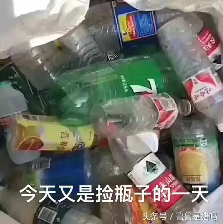 自从迷上*戏调**某宝客服后,我不会说话的毛病就被治好了