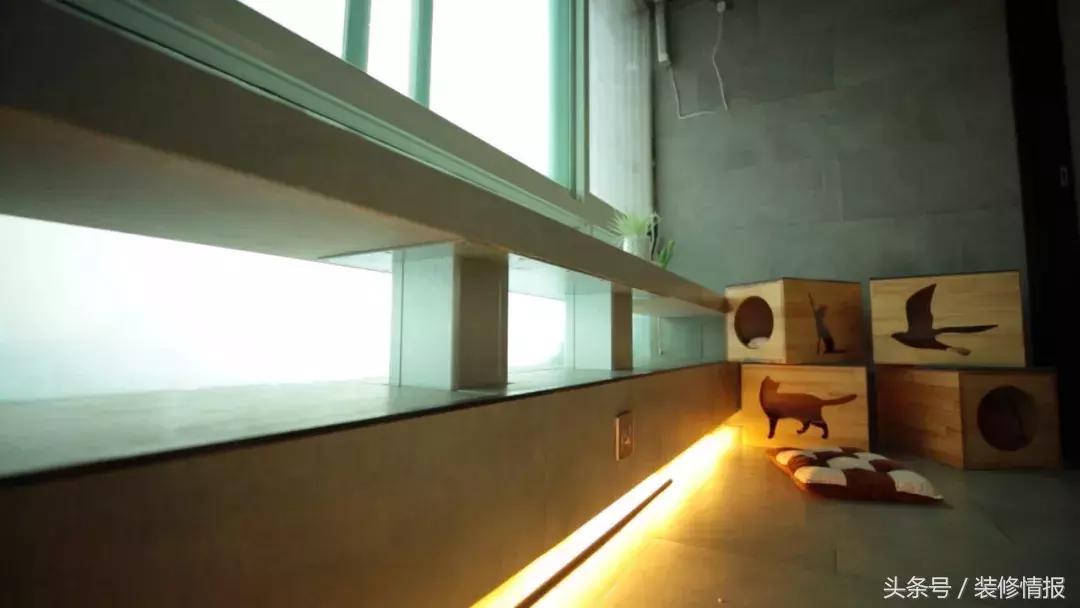 帅气舞蹈家的小阳台变身北欧风“秘密花园”诗和远方!