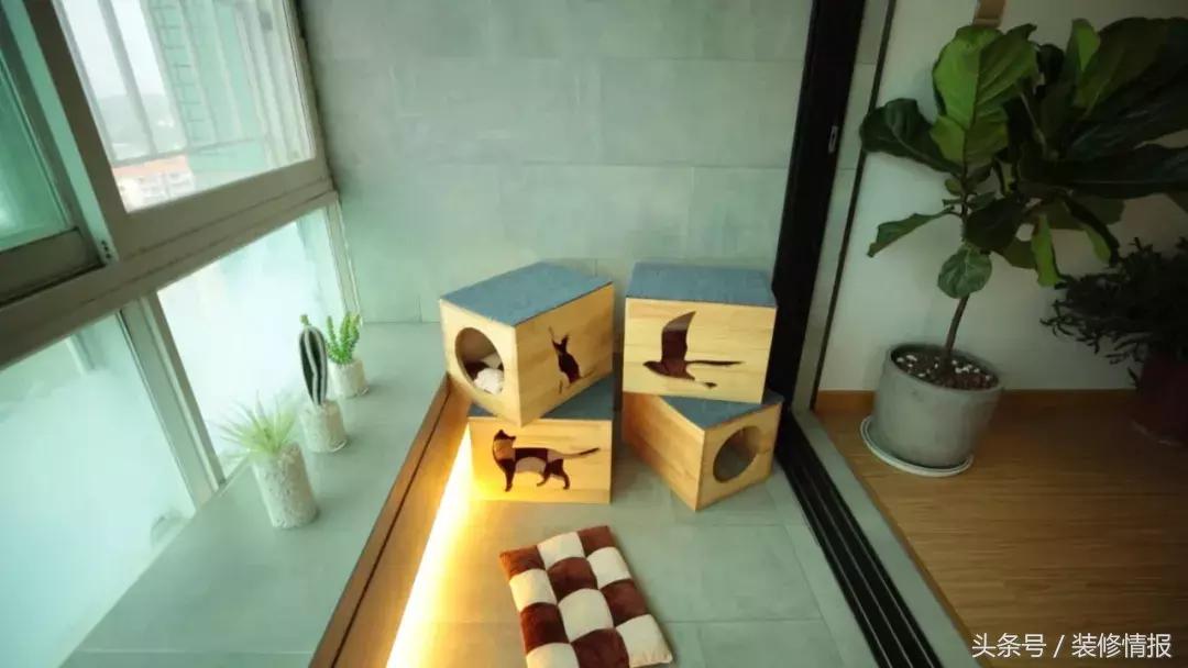 帅气舞蹈家的小阳台变身北欧风“秘密花园”诗和远方!