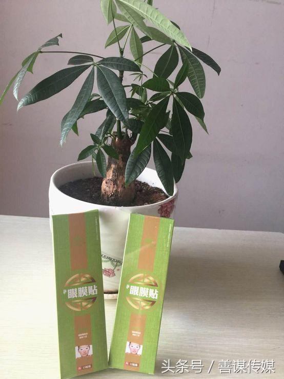 老藤世家滕明华,一生免费行医,曾因不落世俗拒绝三千万融资