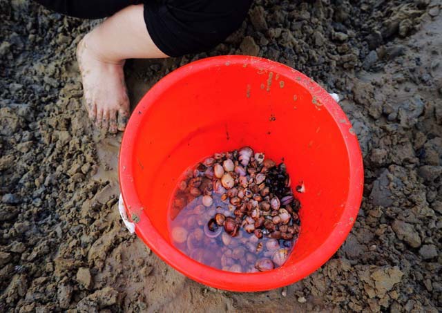 日照旅游攻略探索日照从这里开始 (日照旅游去哪玩这份攻略值得参考)