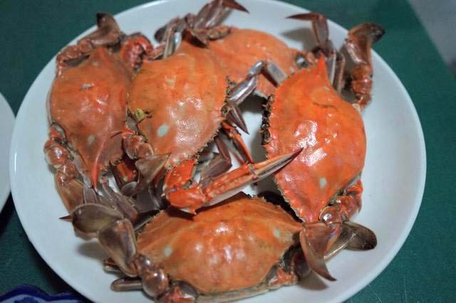 日照旅游攻略探索日照从这里开始 (日照旅游去哪玩这份攻略值得参考)