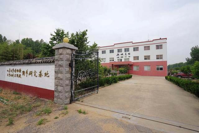 日照旅游攻略探索日照从这里开始 (日照旅游去哪玩这份攻略值得参考)