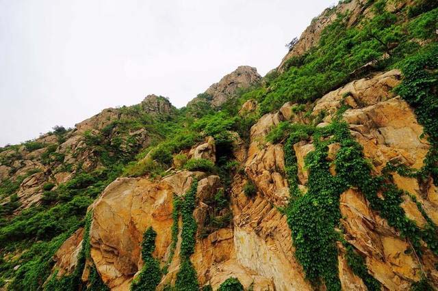 日照旅游攻略探索日照从这里开始 (日照旅游去哪玩这份攻略值得参考)