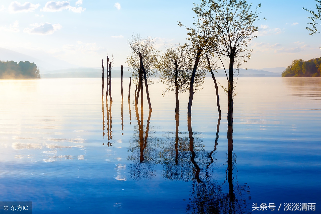 妙趣横生读音,妙趣横生的诗意