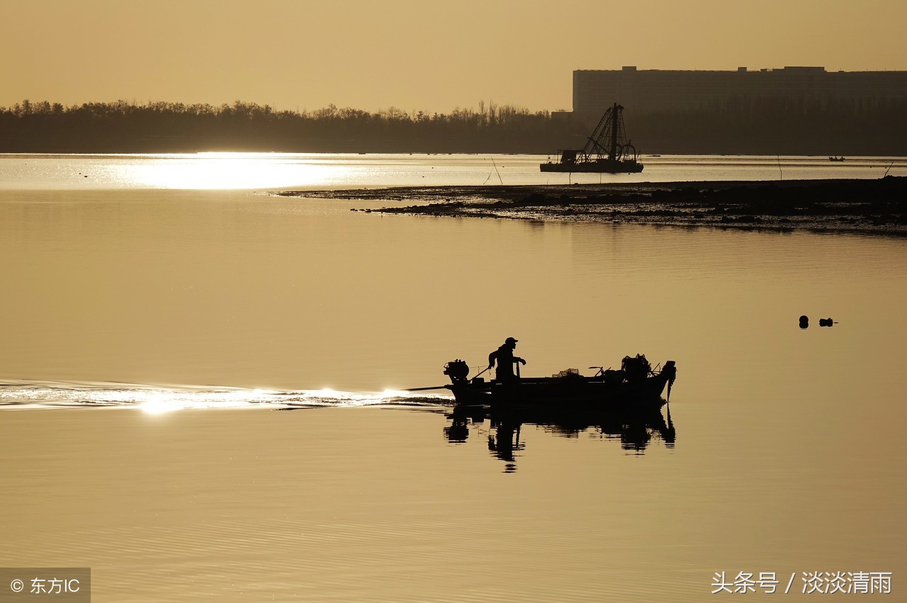 妙趣横生读音,妙趣横生的诗意