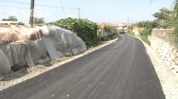 村主任自恃“脑子有病”组建黑社会团伙欺行霸市惹众怒被一锅端