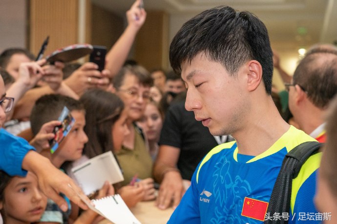 马龙为何退出世乒赛,马龙为什么退赛