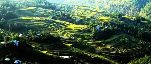 重庆免门票周边游地方推荐,重庆周边免门票公园