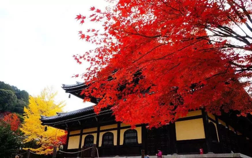 日本jr电车广告,日本jr读什么