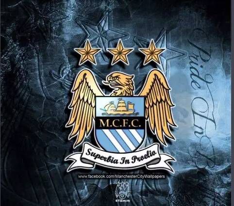 英超球迷怎么变成强队的,英超球迷如何变强