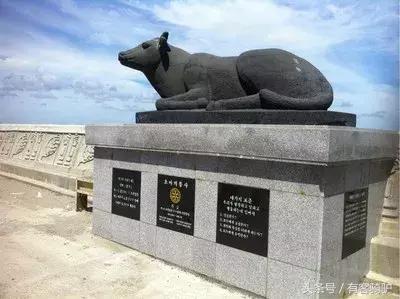 济州岛君悦酒店附近游玩攻略,韩国济州岛一日游最佳美食攻略