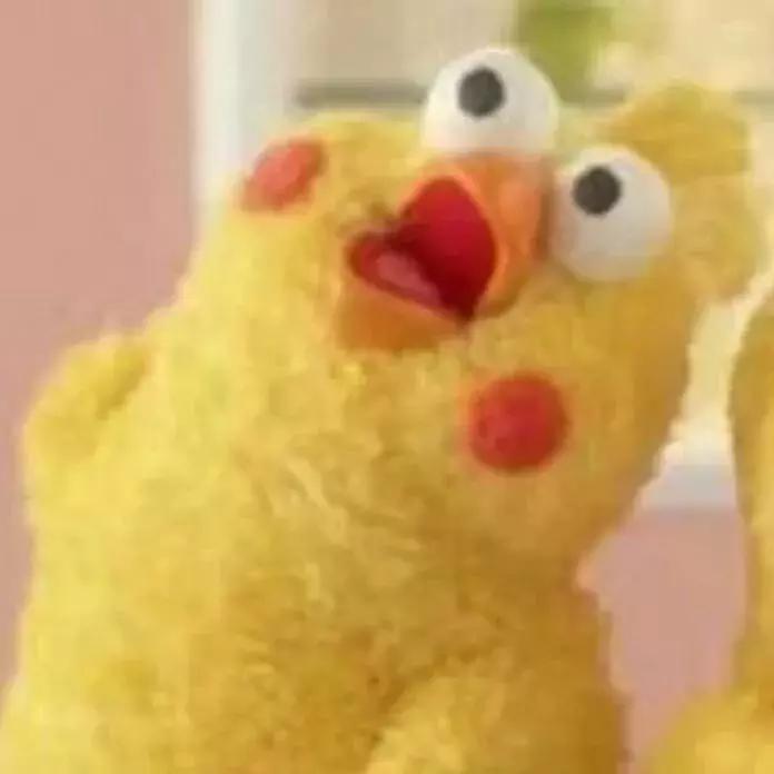 粉丝的包包,粉丝的口红