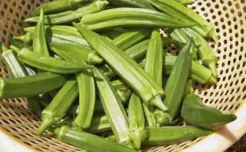 秋葵与曼陀罗的区别,秋葵与曼陀罗花