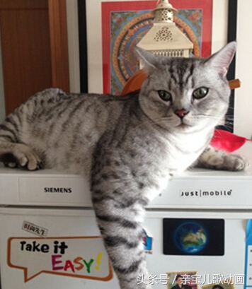 必须拥有的东西,提升生活品质的东西推荐