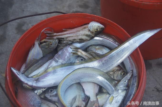 国庆去南澳岛旅游攻略,南澳岛赶海出海游玩攻略