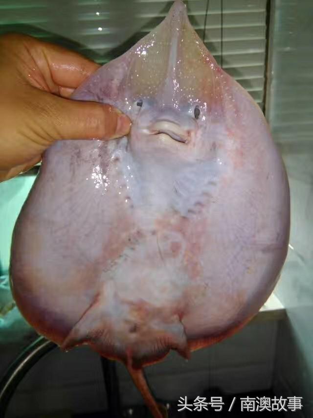 国庆去南澳岛旅游攻略,南澳岛赶海出海游玩攻略