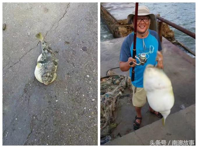 国庆去南澳岛旅游攻略,南澳岛赶海出海游玩攻略