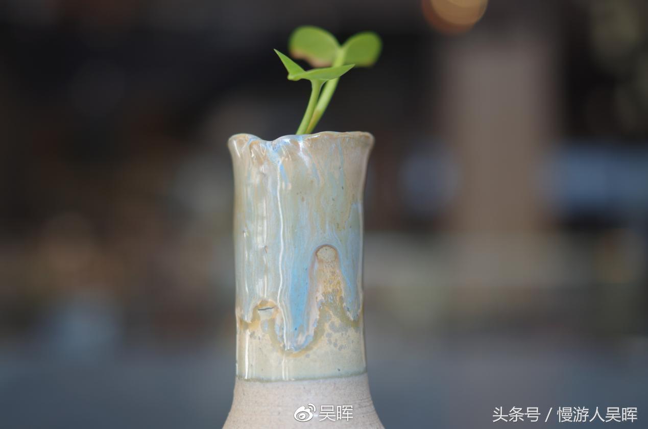 三亚红树林度假有多少套客房,三亚红树林度假酒店一共多少层